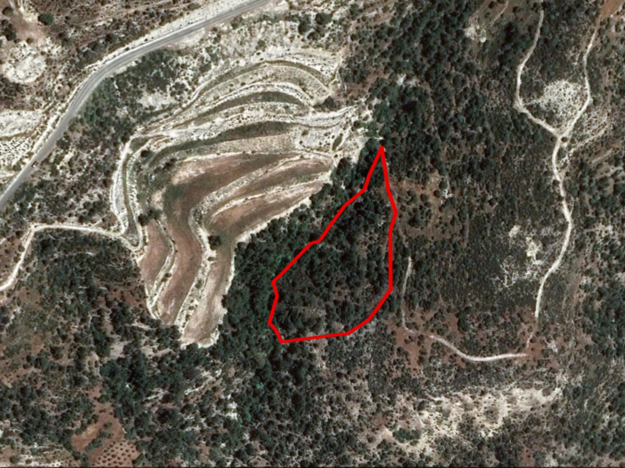 For Sale, Land, Field, Paphos, Archimandrita Pano, 14,716m² — image 2