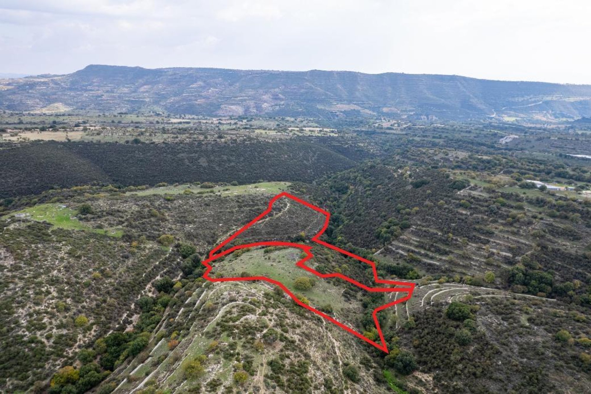 For Sale, Land, Field, Limassol, Dora, 23,413m² — image 2
