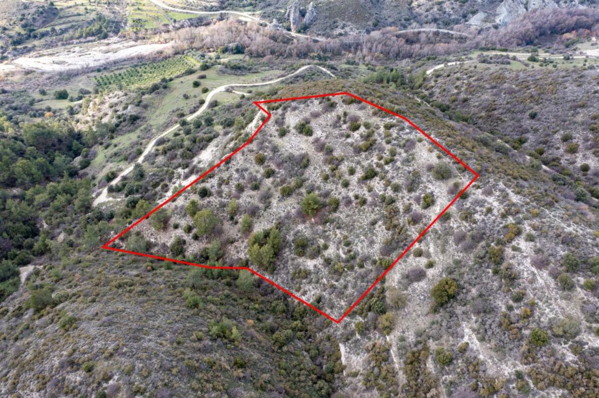For Sale, Land, Field, Limassol, Dora, 12,041m²