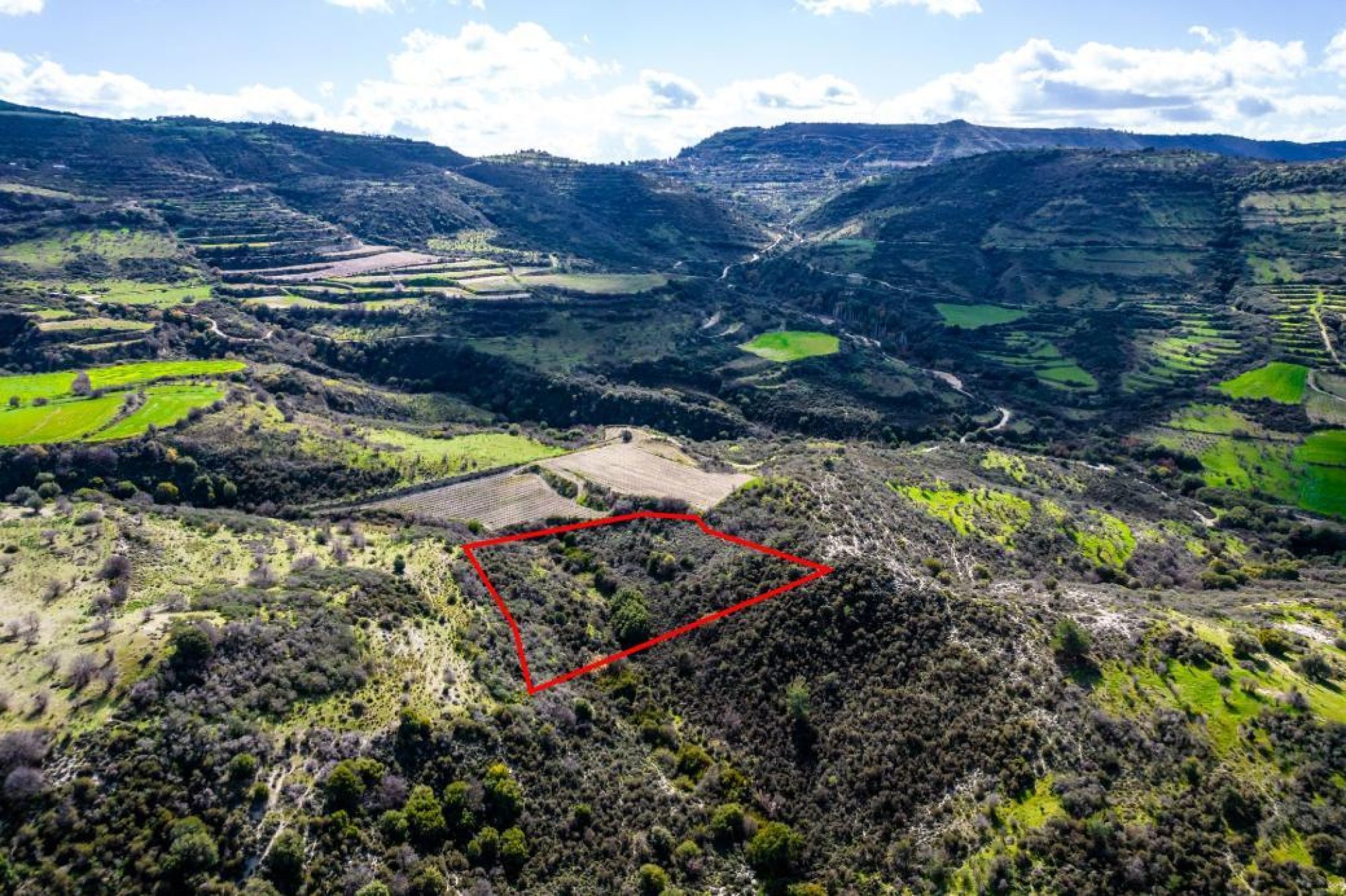 For Sale, Land, Field, Limassol, Dora, 7,358m² — image 4