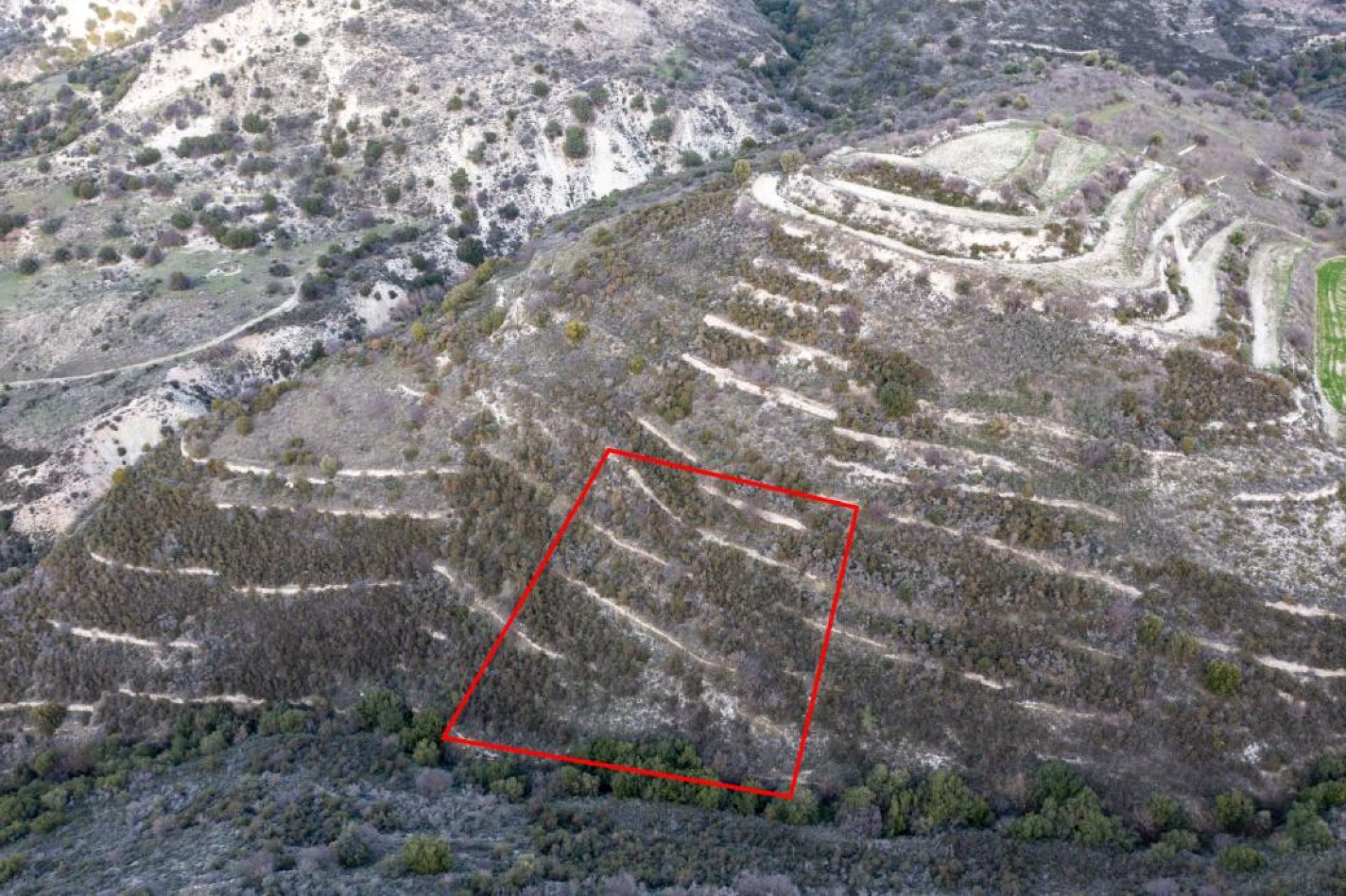 For Sale, Land, Field, Limassol, Dora, 2,342m² — image 2