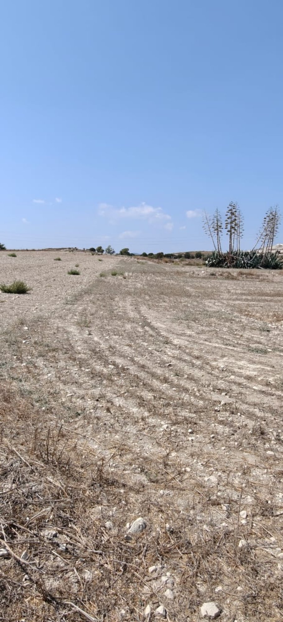 For Sale, Land, Larnaca, Aradippou, Apostolos Loukas, 2,899m² — image 2