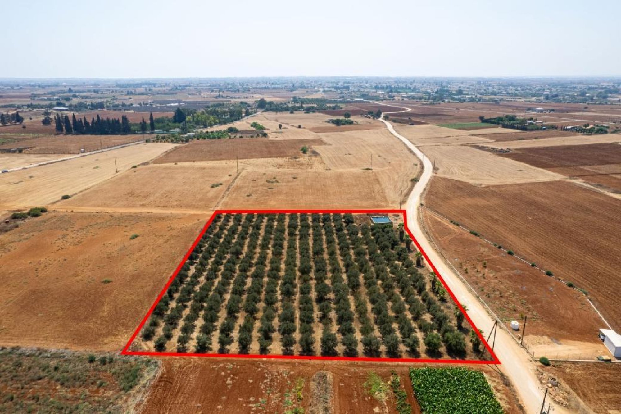 For Sale, Land, Field, Famagusta, Avgorou, 9,384m² — image 4