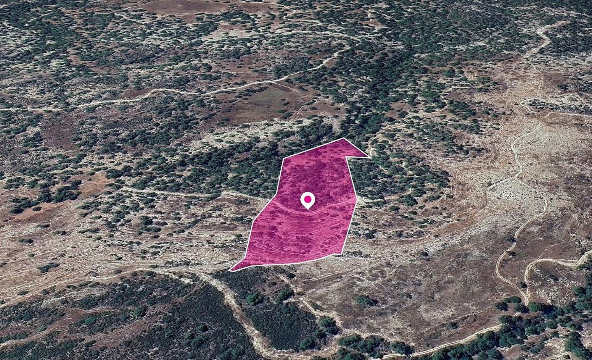 For Sale, Land, Field, Paphos, Archimandrita Pano, 25,084m² — image 3