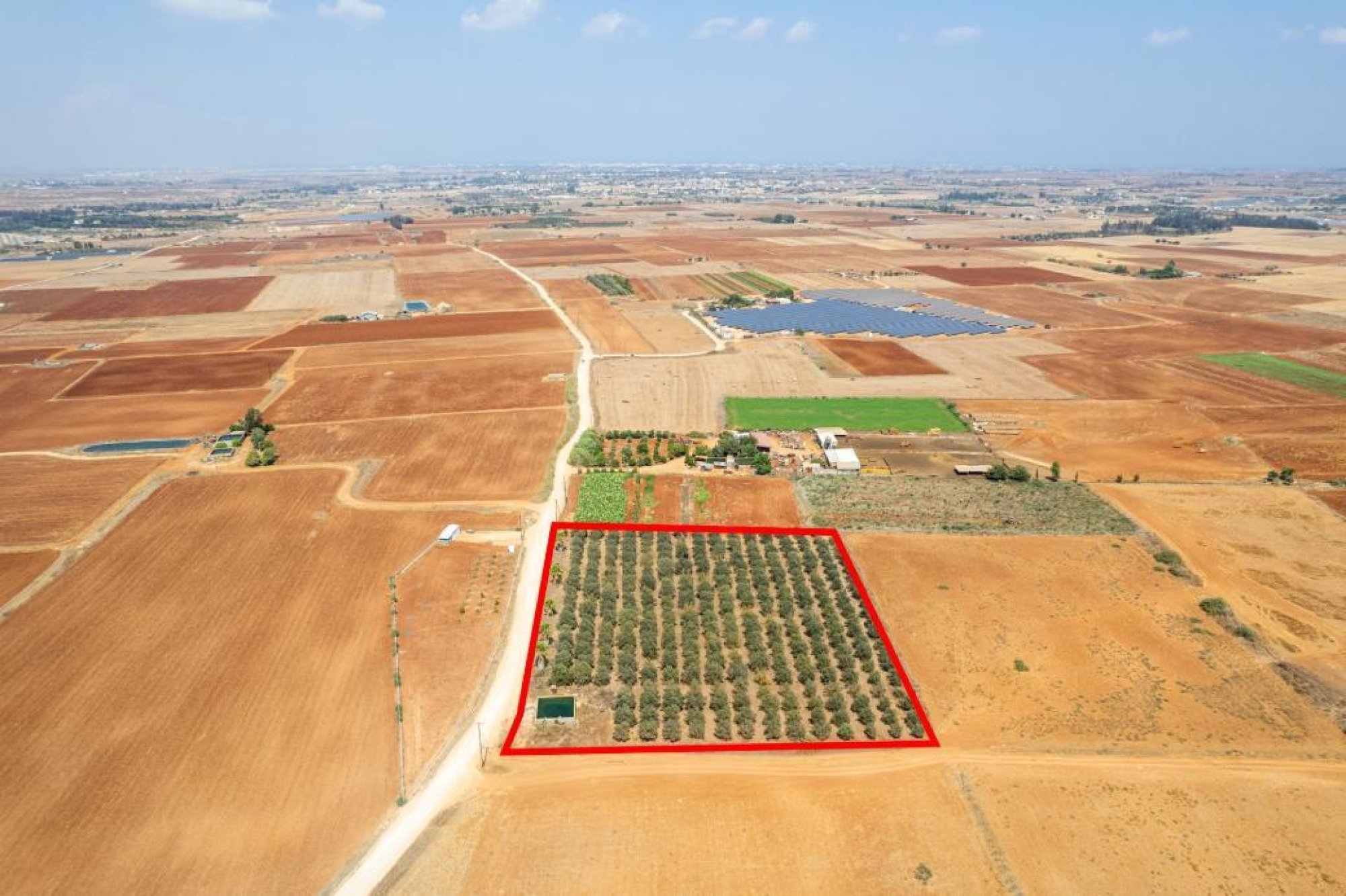 For Sale, Land, Field, Famagusta, Avgorou, 9,384m² — image 2