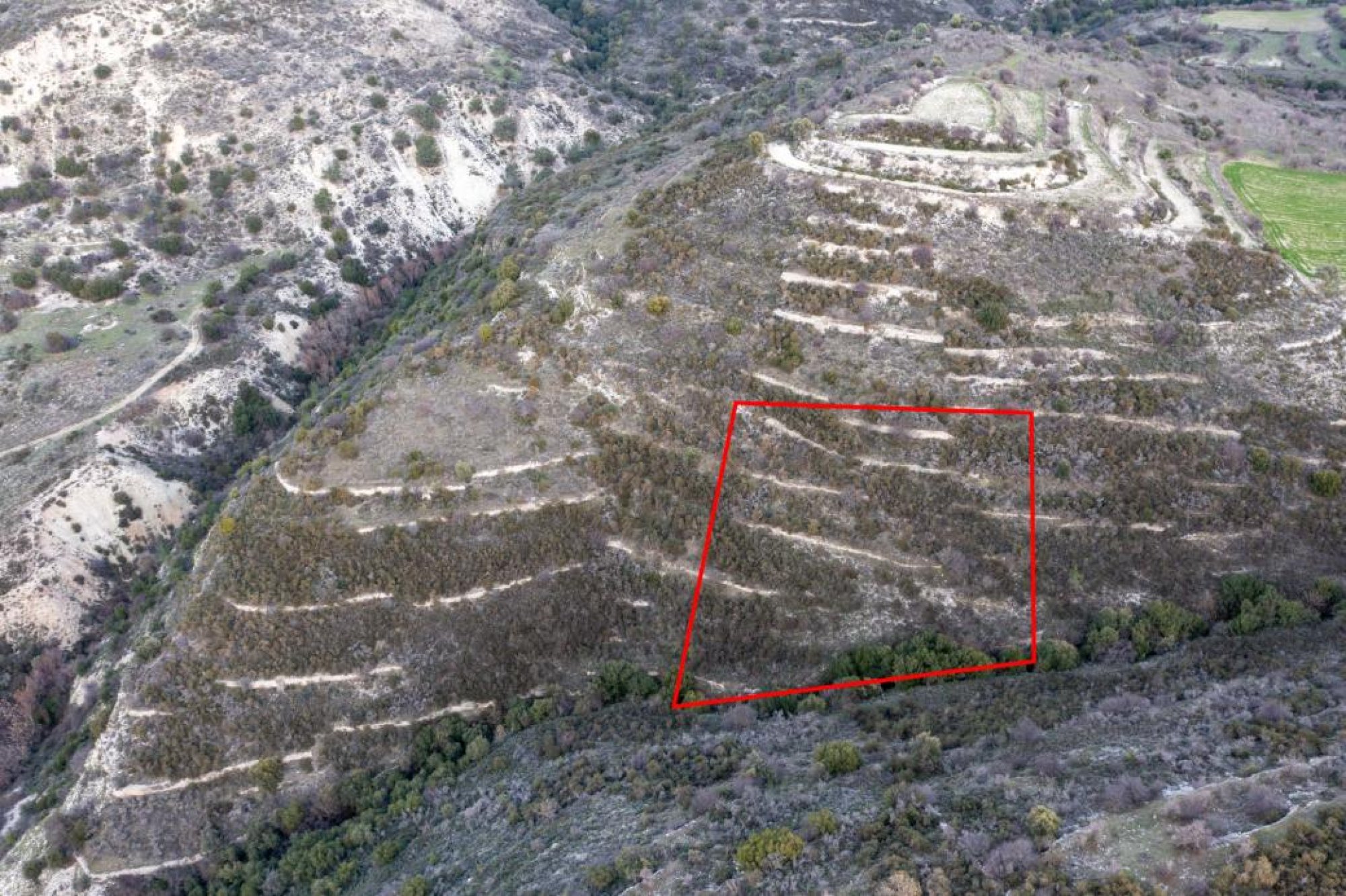 For Sale, Land, Field, Limassol, Dora, 2,342m² — image 3