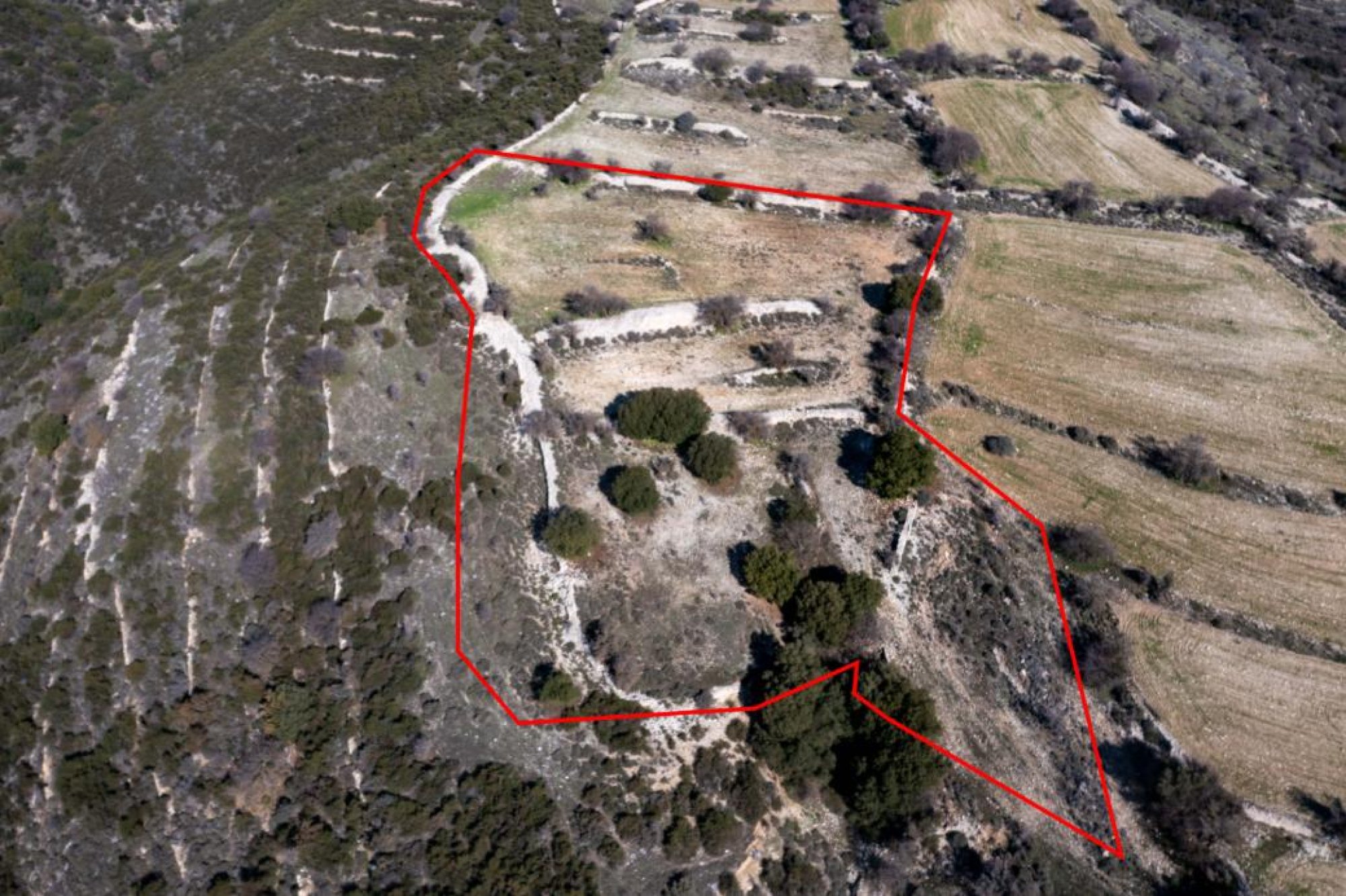 For Sale, Land, Field, Limassol, Dora, 11,372m²
