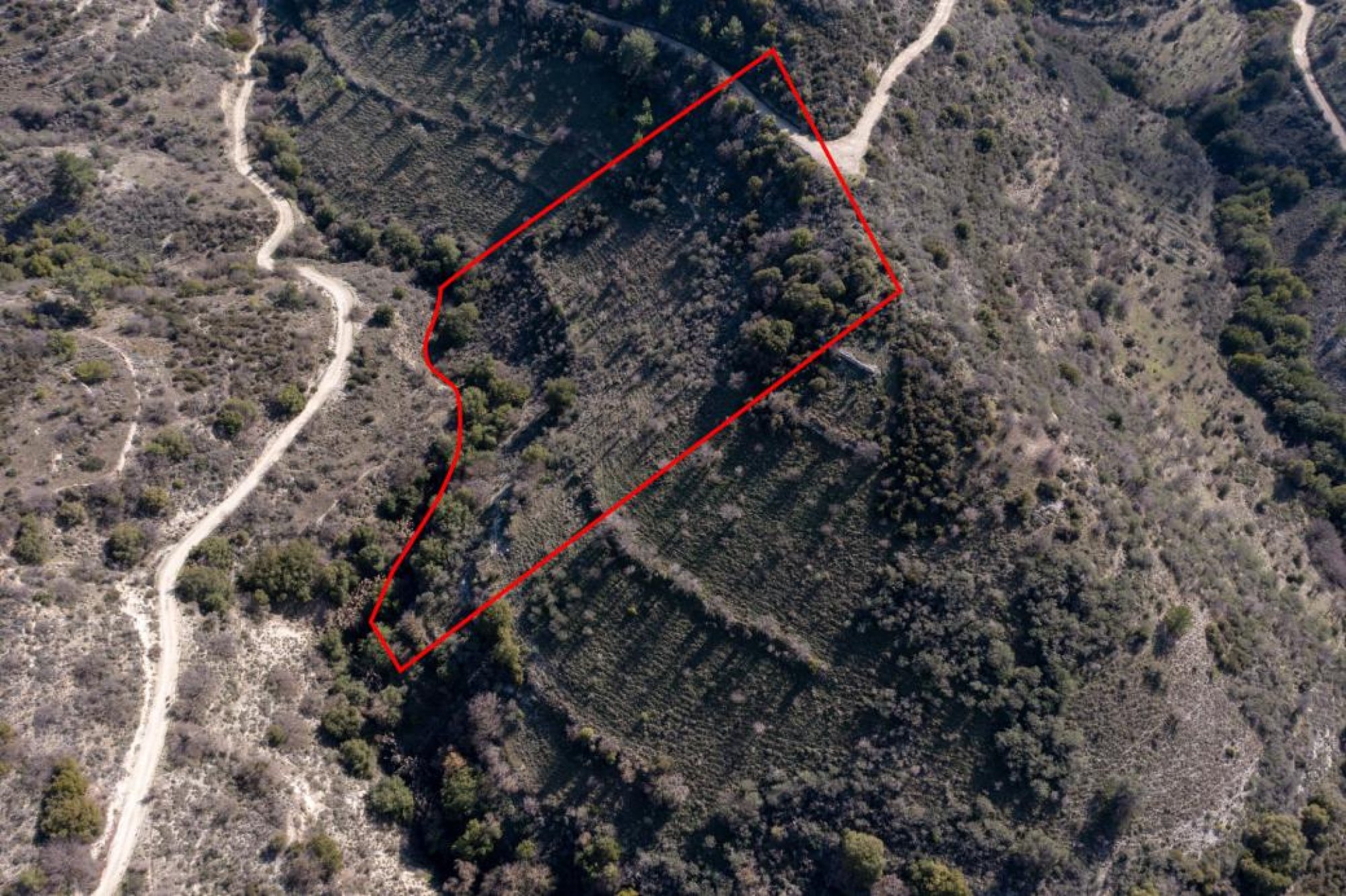 For Sale, Land, Field, Limassol, Dora, 10,703m² — image 2
