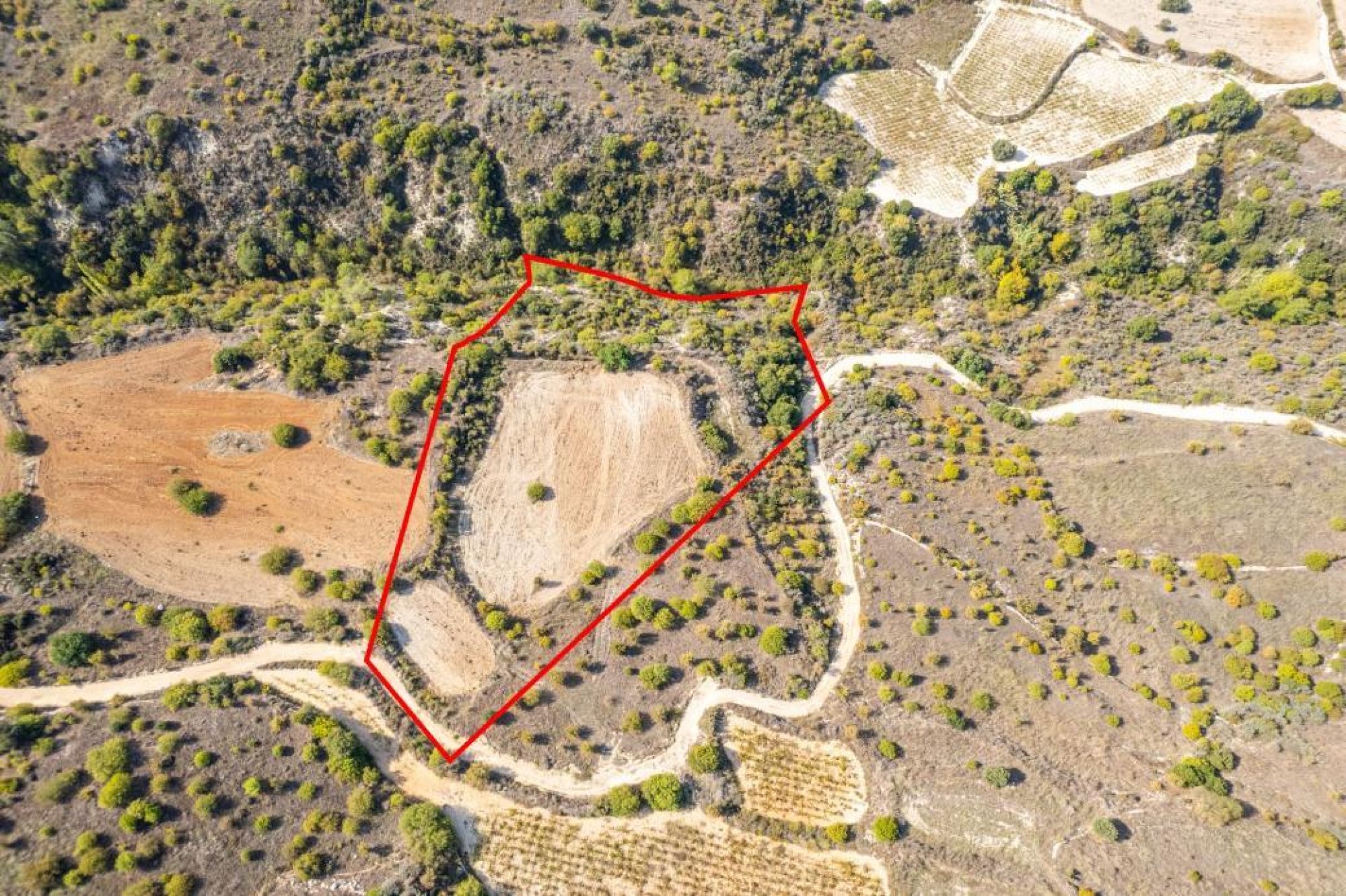 For Sale, Land, Field, Limassol, Dora, 14,047m²