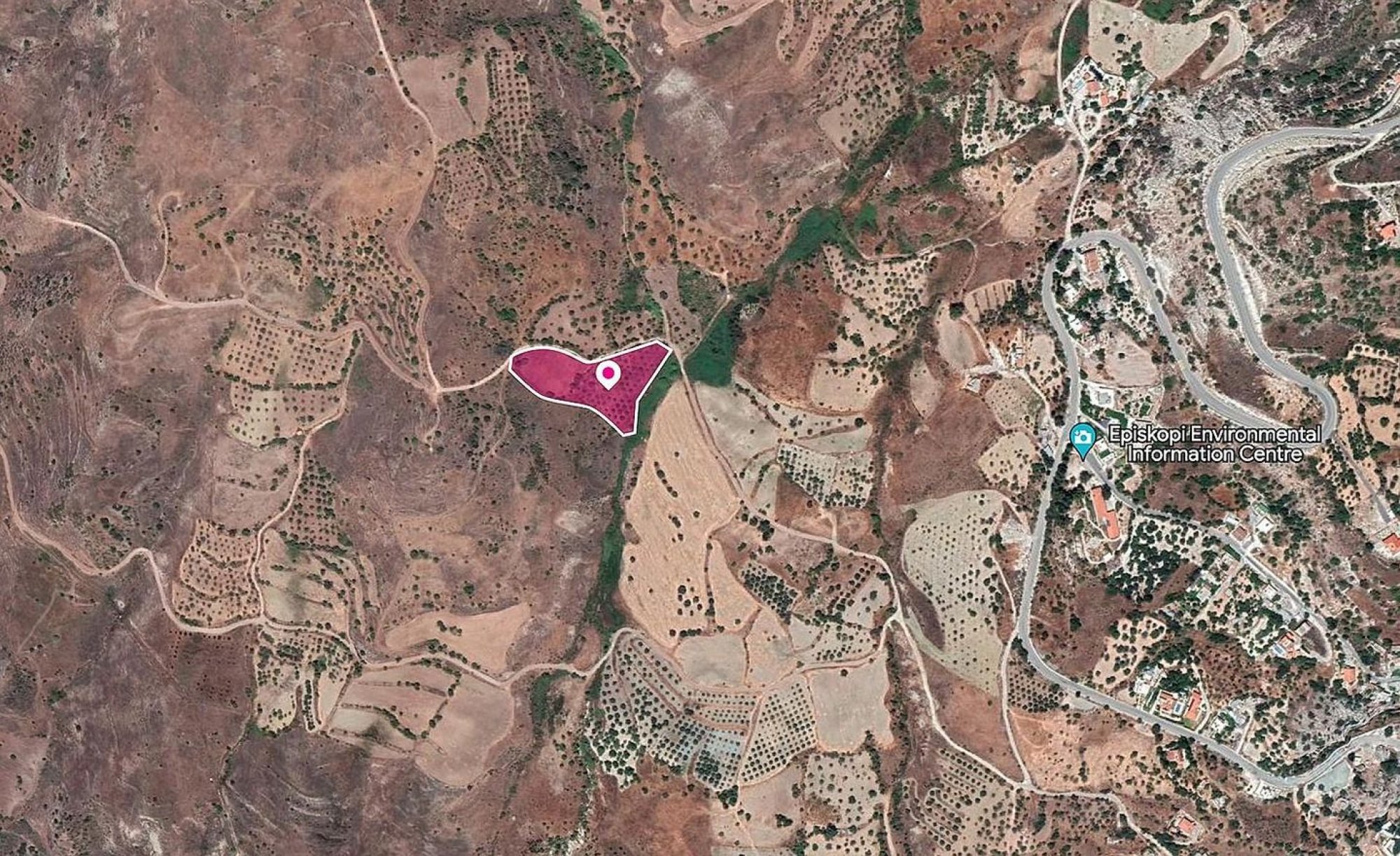 For Sale, Land, Field, Paphos, Episkopi, 7,535m² — image 2