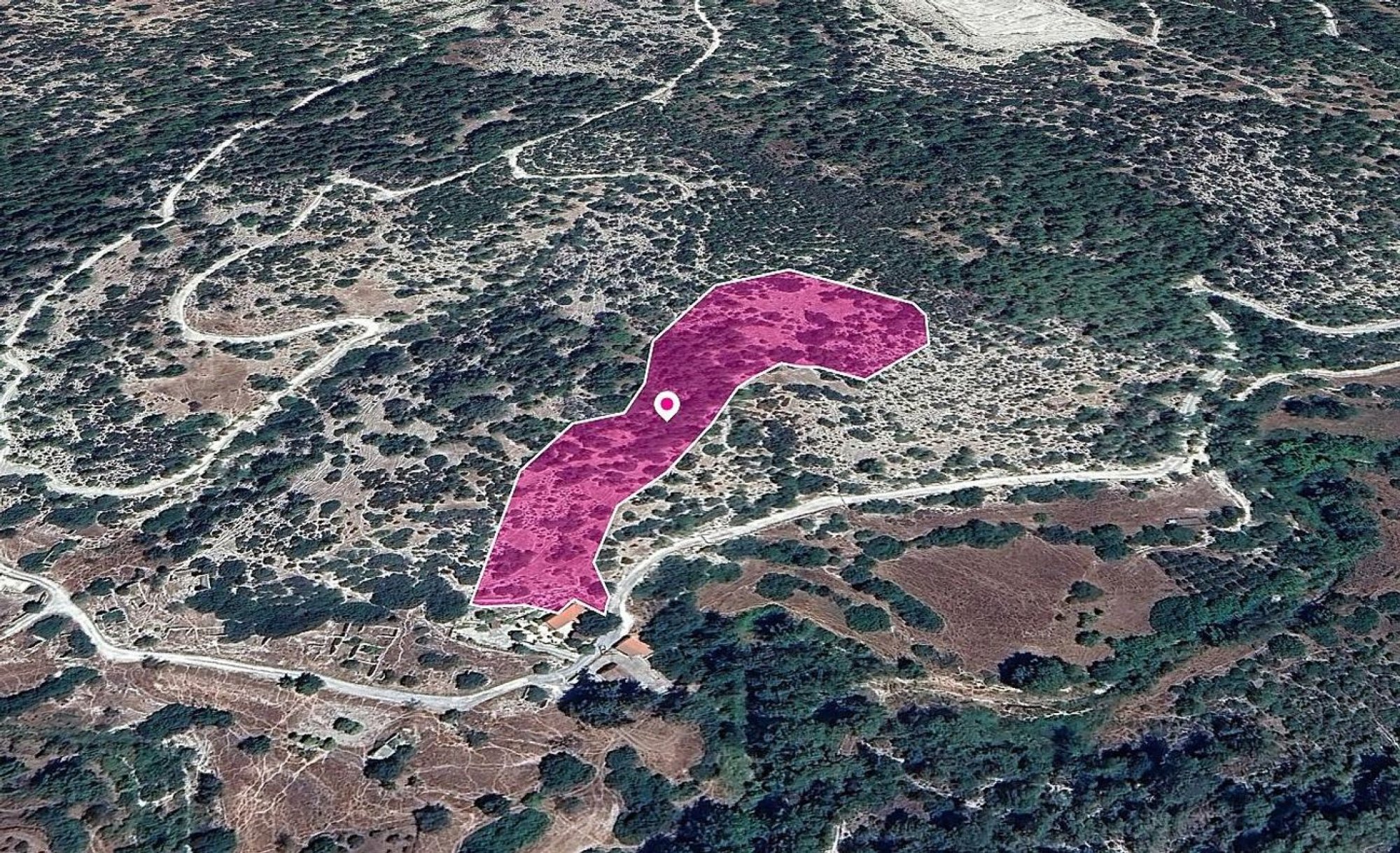 For Sale, Land, Field, Paphos, Archimandrita Pano, 14,047m²