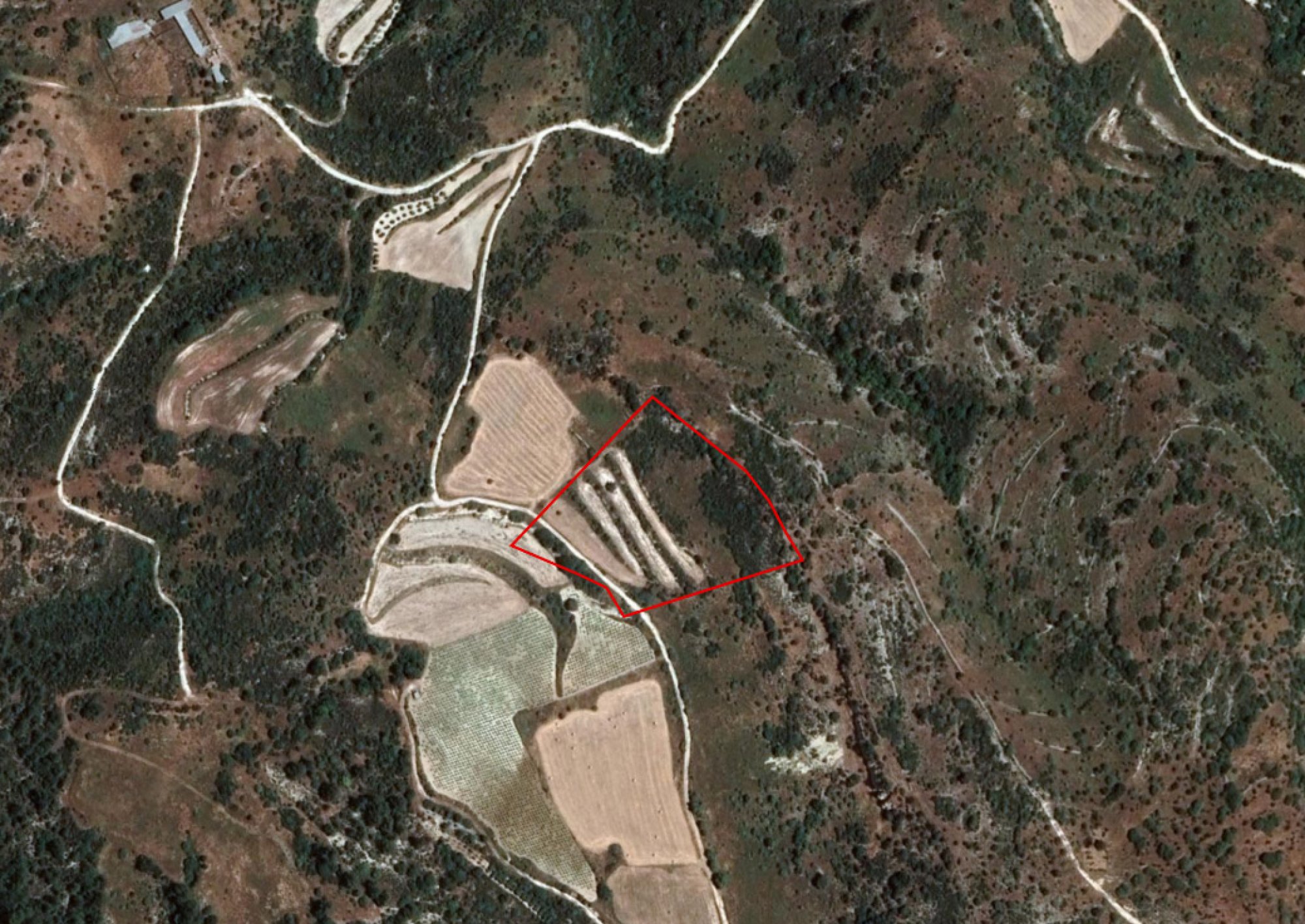 For Sale, Land, Field, Limassol, Dora, 15,051m²