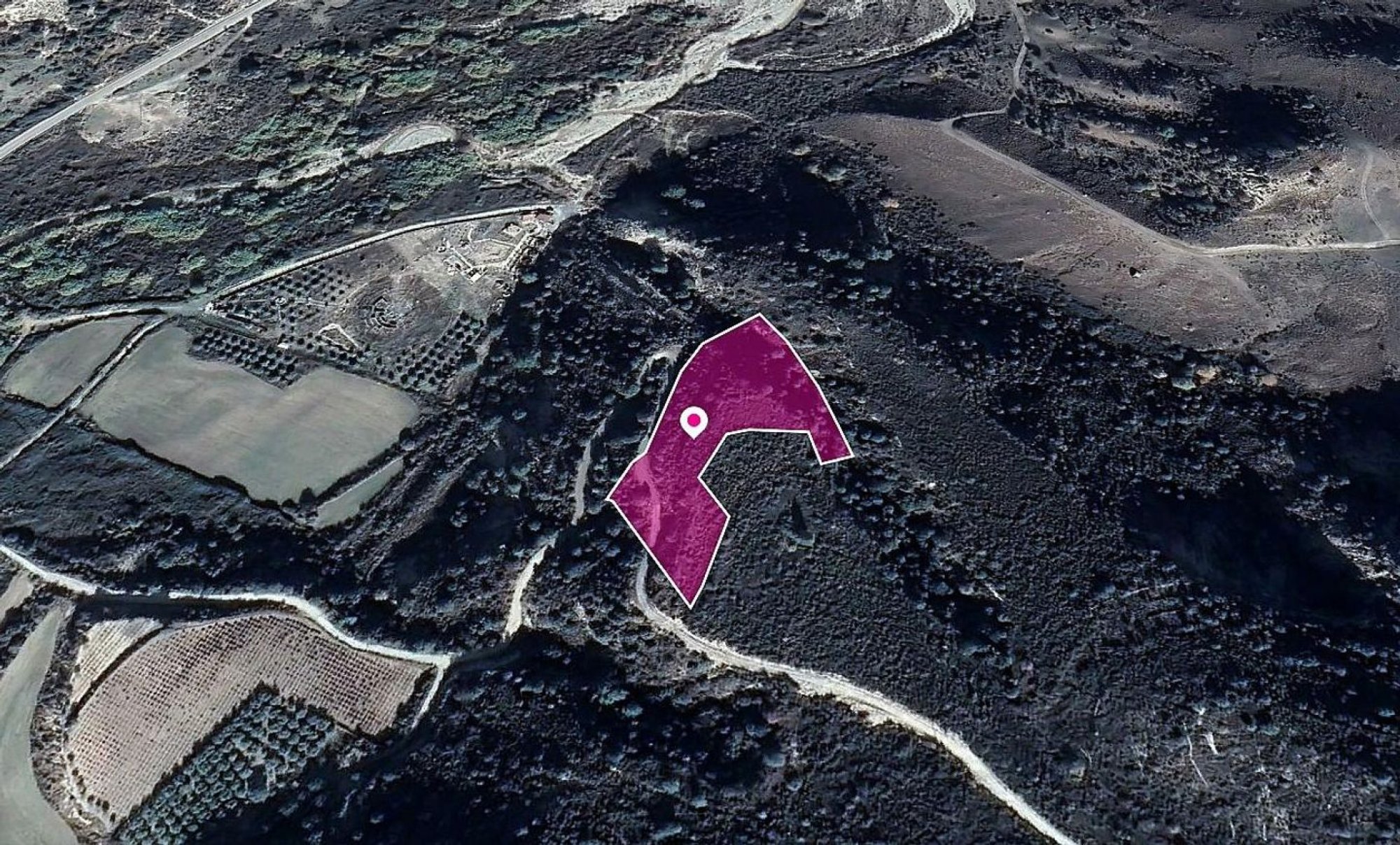 Land, Field, Limassol, Dora, 10,368m² — image 3