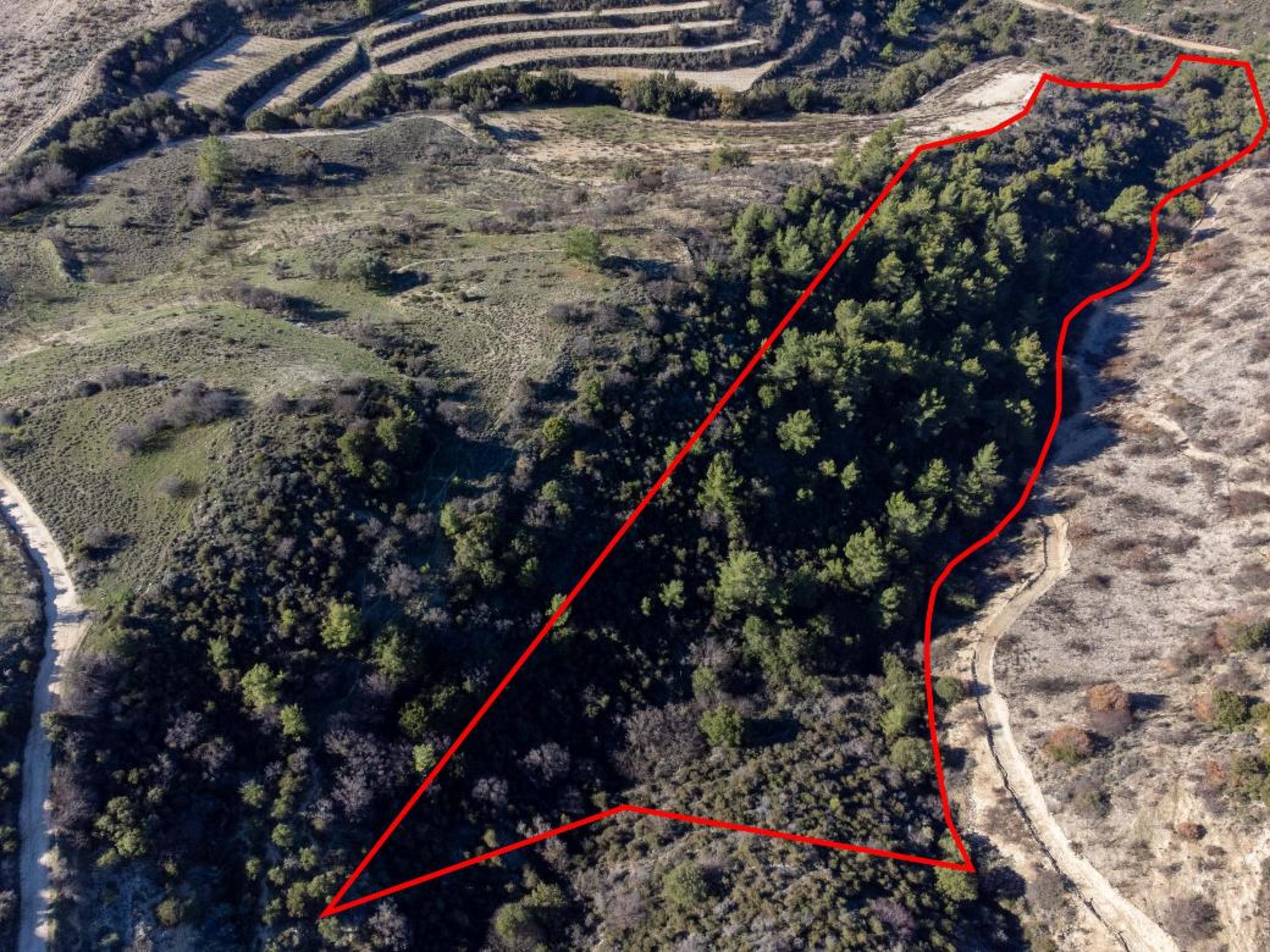 For Sale, Land, Field, Paphos, Mousere, 19,399m² — image 3