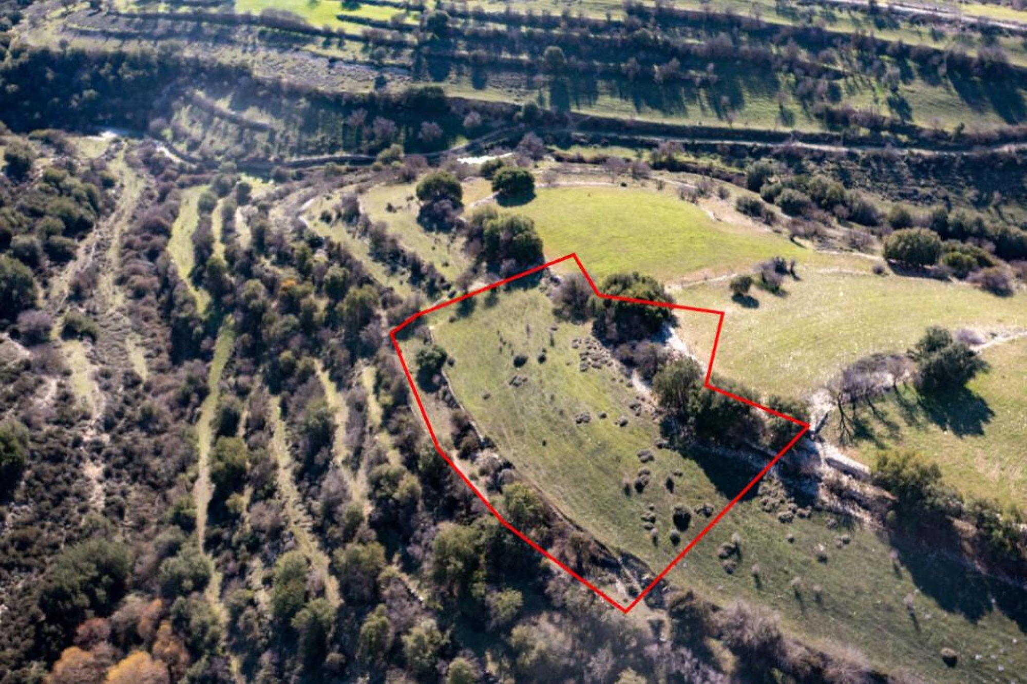 For Sale, Land, Field, Limassol, Dora, 3,345m²