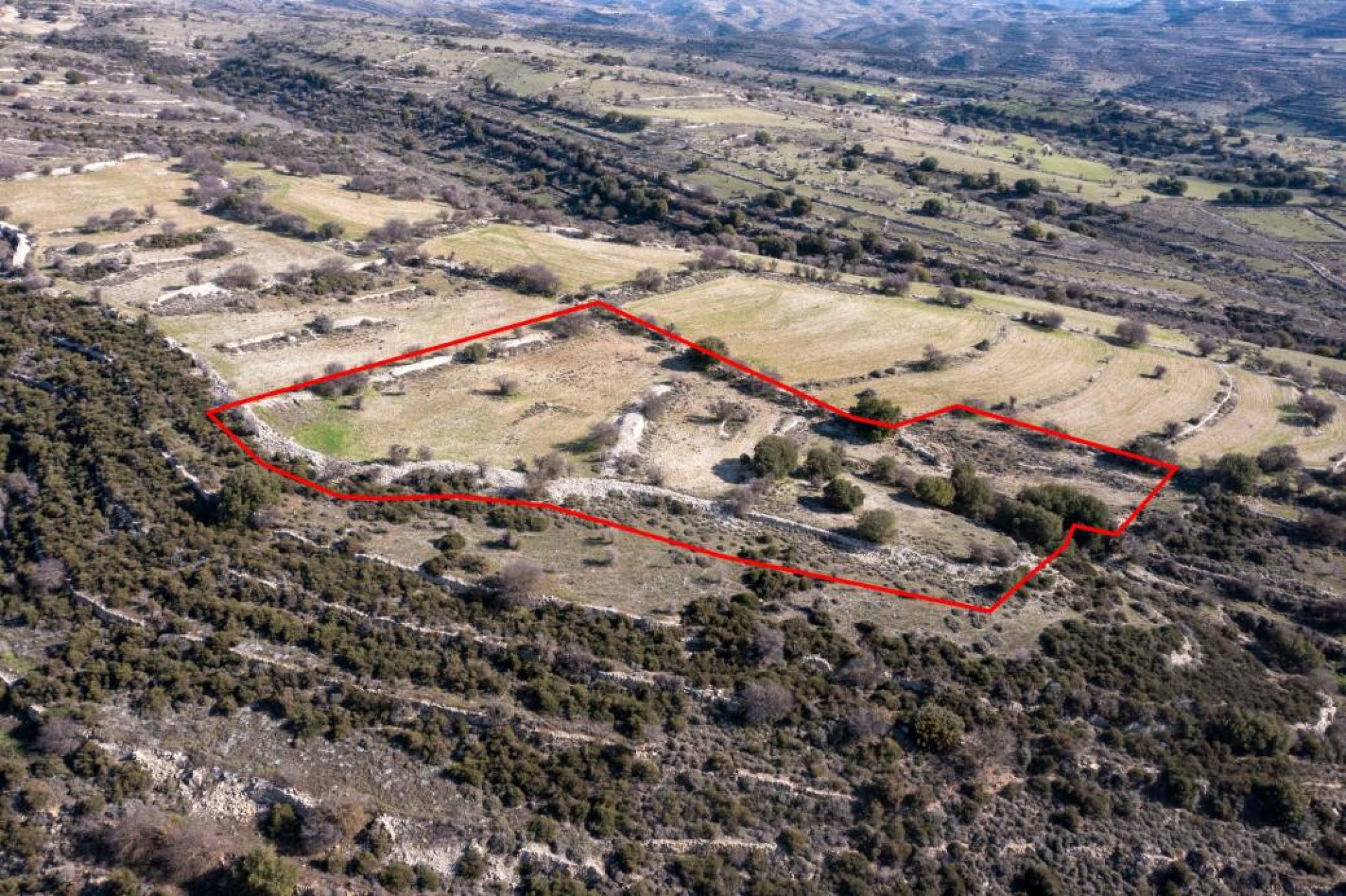 For Sale, Land, Field, Limassol, Dora, 11,372m² — image 2