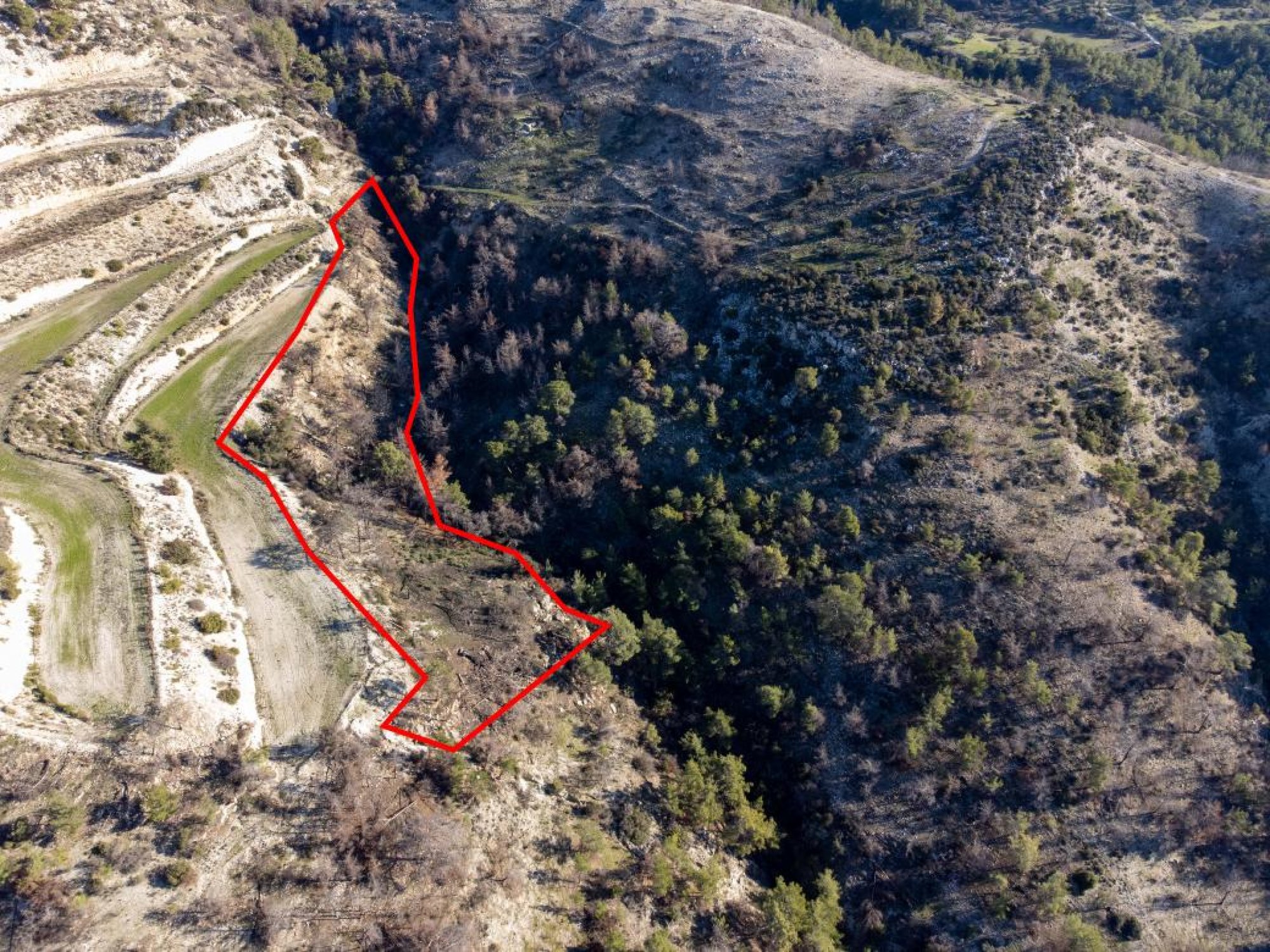 For Sale, Land, Field, Paphos, Archimandrita Pano, 11,037m² — image 3