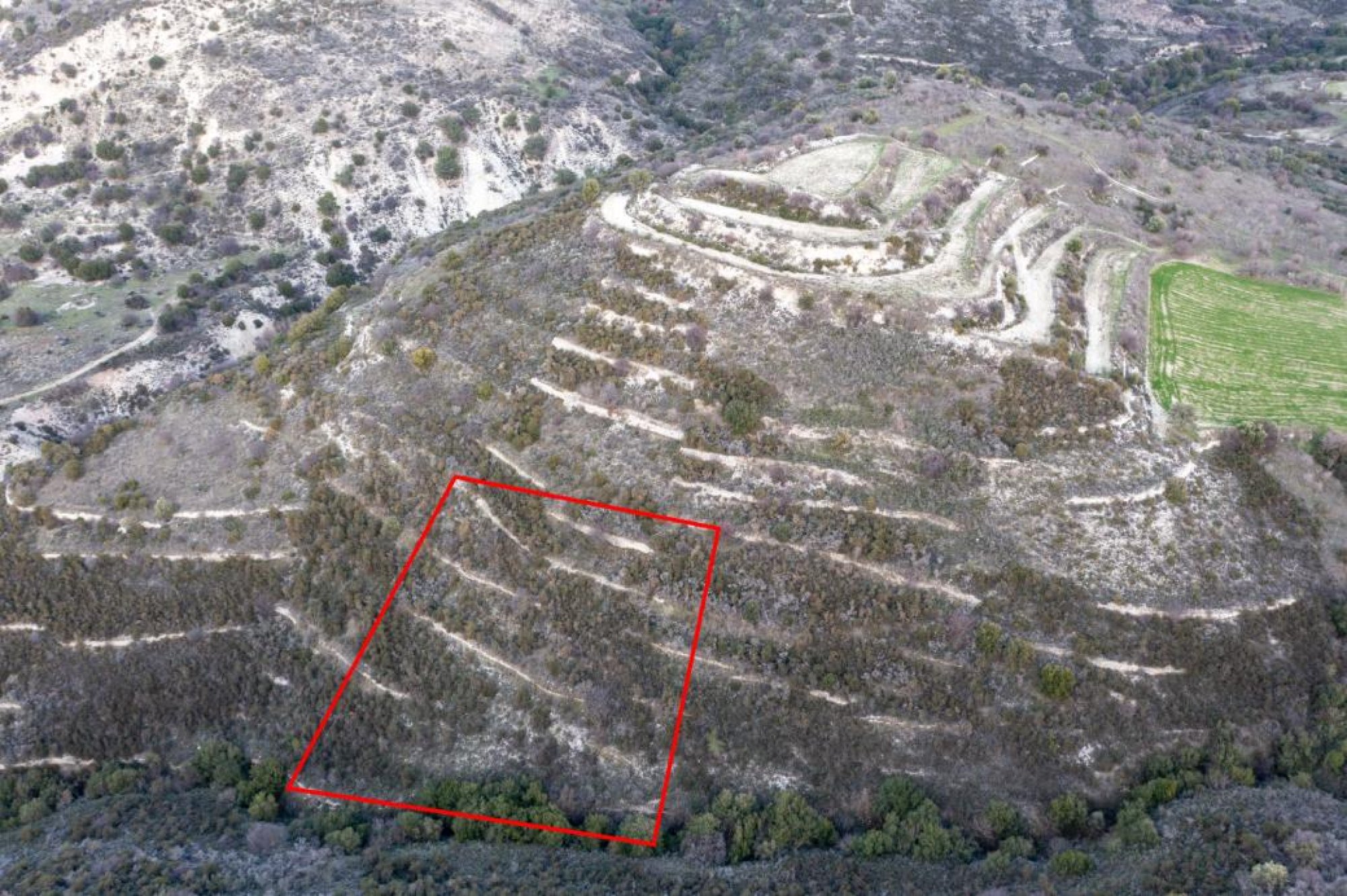 For Sale, Land, Field, Limassol, Dora, 2,342m²