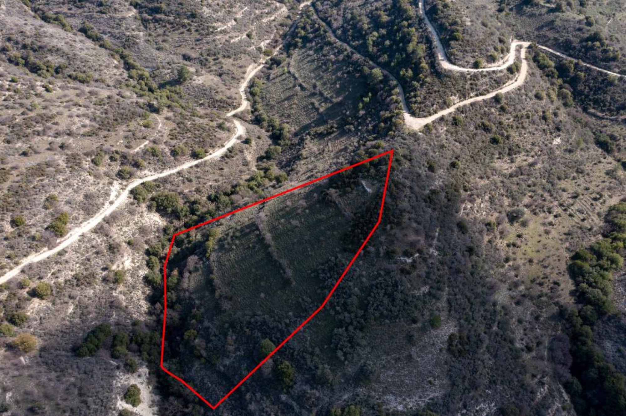 For Sale, Land, Field, Limassol, Dora, 12,041m² — image 3