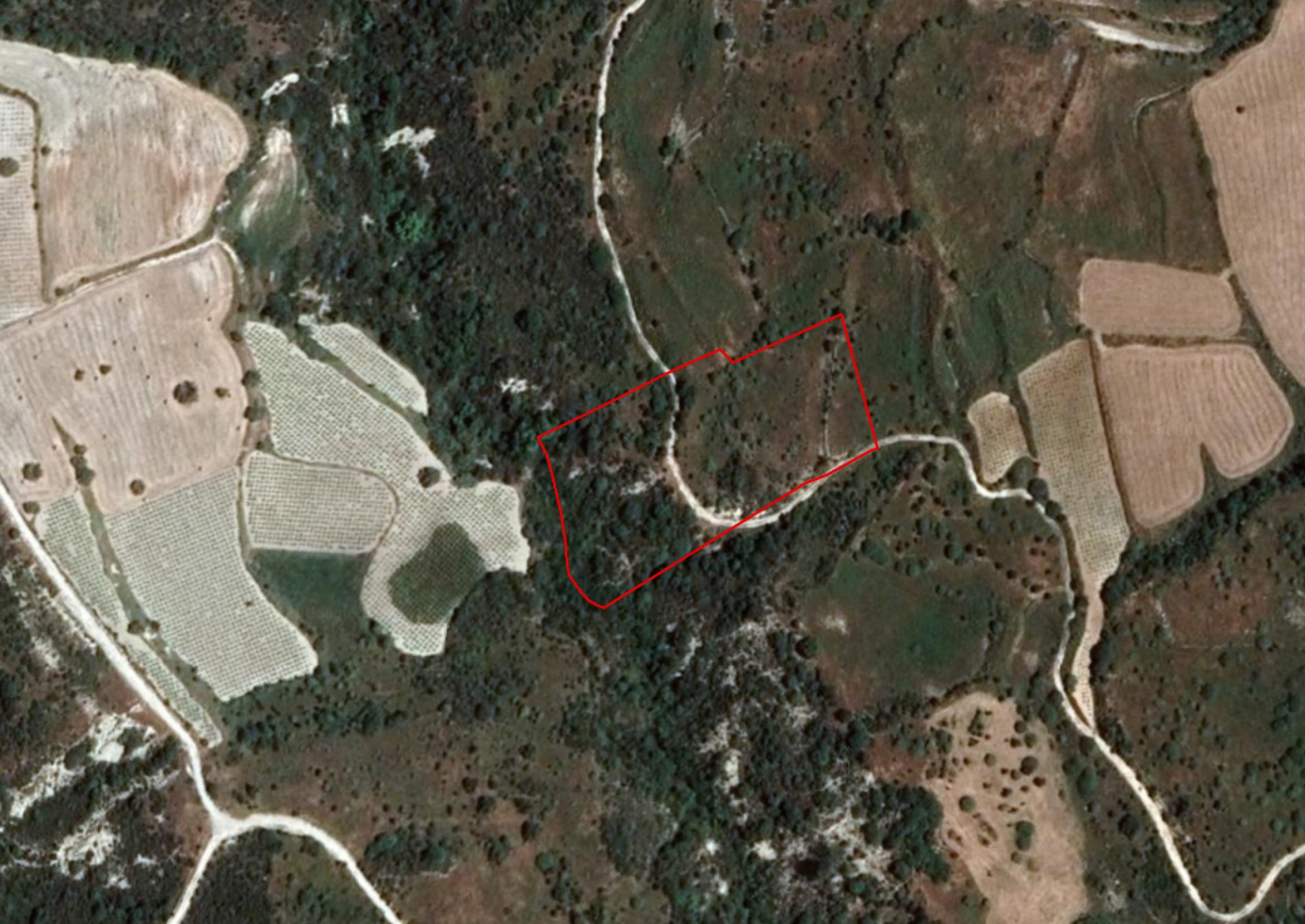 For Sale, Land, Field, Limassol, Dora, 11,743m²