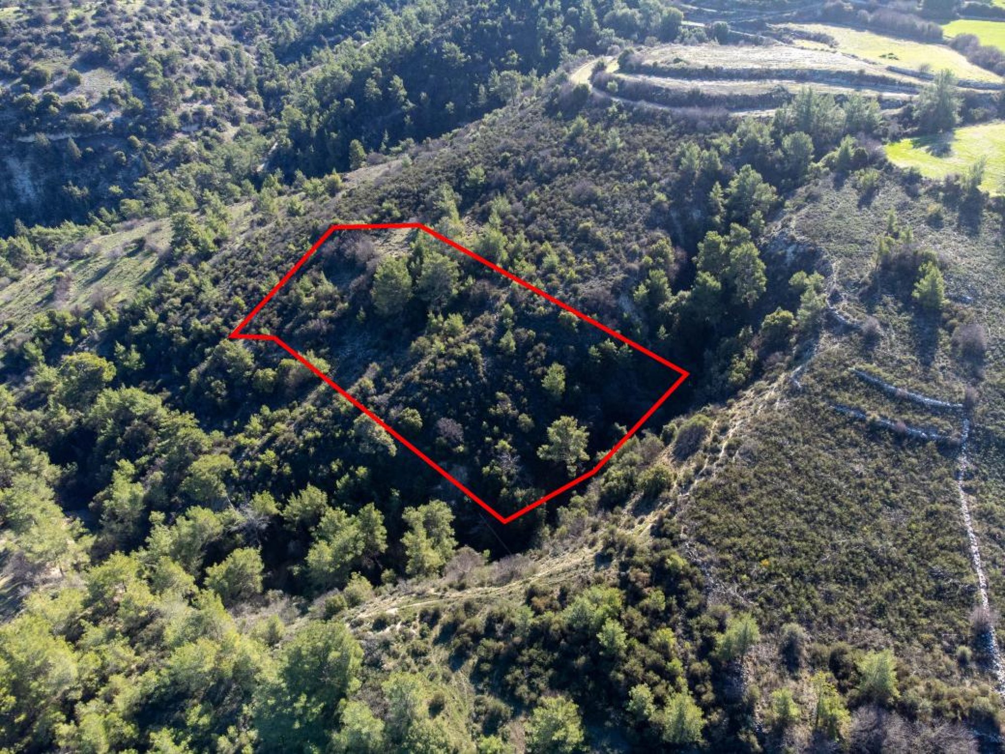 For Sale, Land, Field, Paphos, Mousere, 6,689m² — image 3