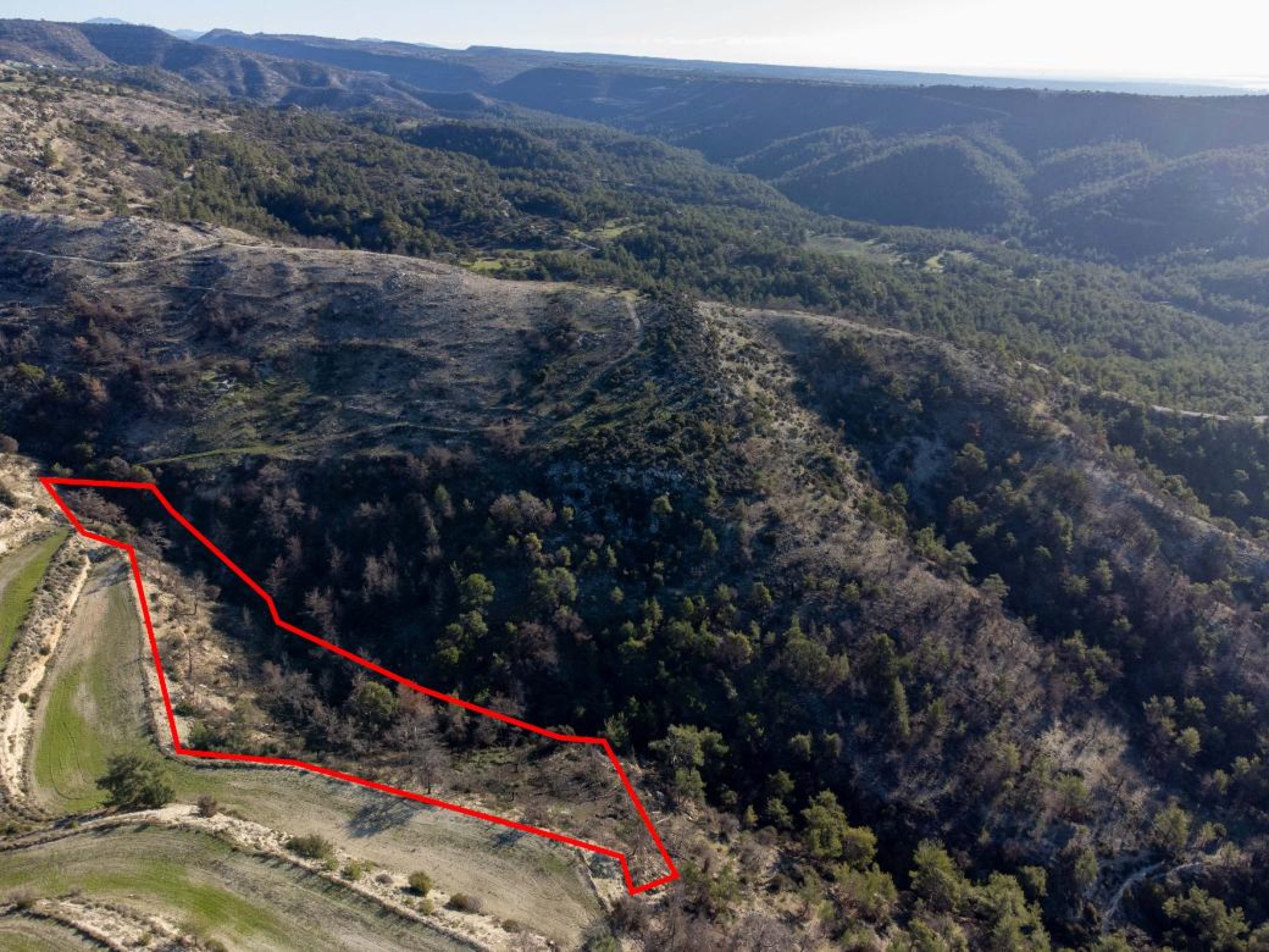 For Sale, Land, Field, Paphos, Archimandrita Pano, 11,037m²