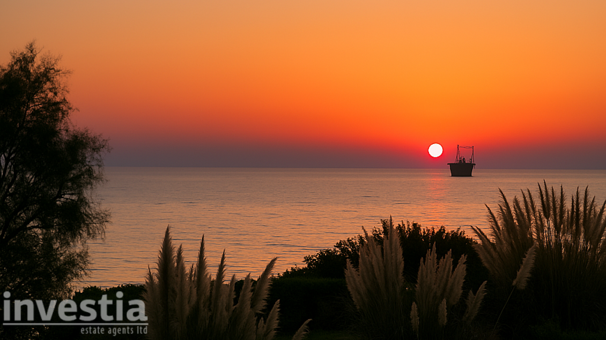 For Sale, House, Mansion/Villa, Paphos, Chlorakas, 513m² — image 2