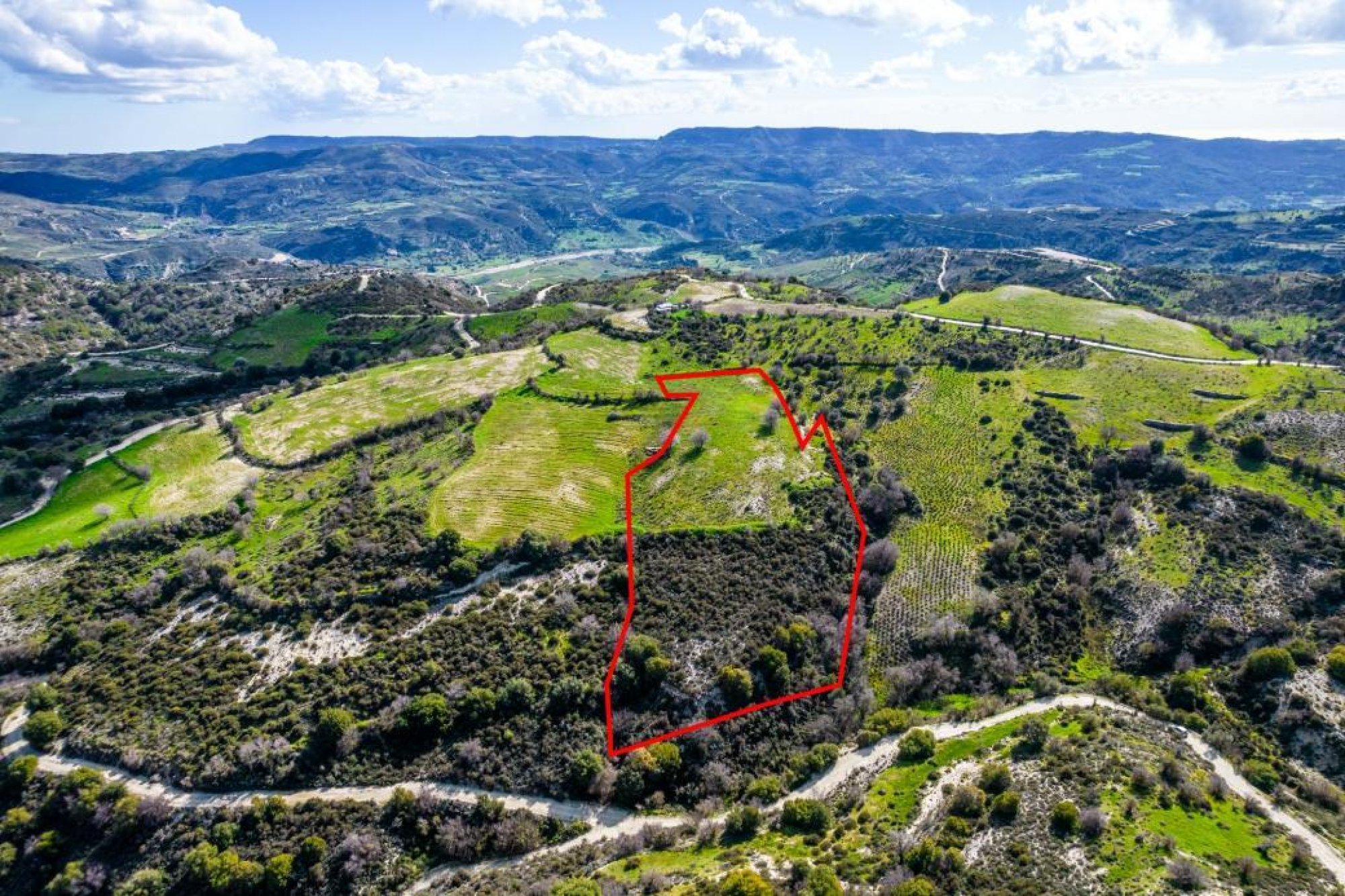 For Sale, Land, Field, Paphos, Salamiou, 12,041m² — image 3