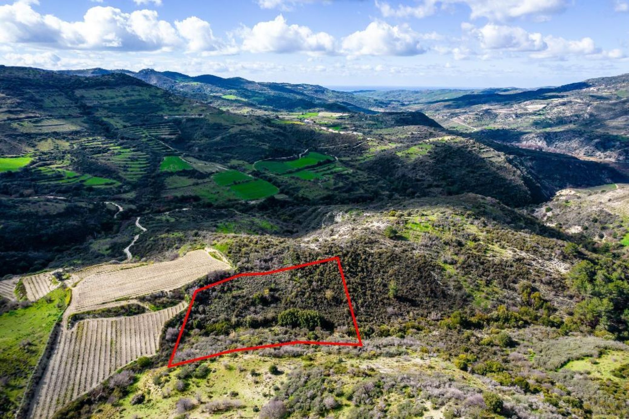 For Sale, Land, Field, Limassol, Dora, 7,358m² — image 3