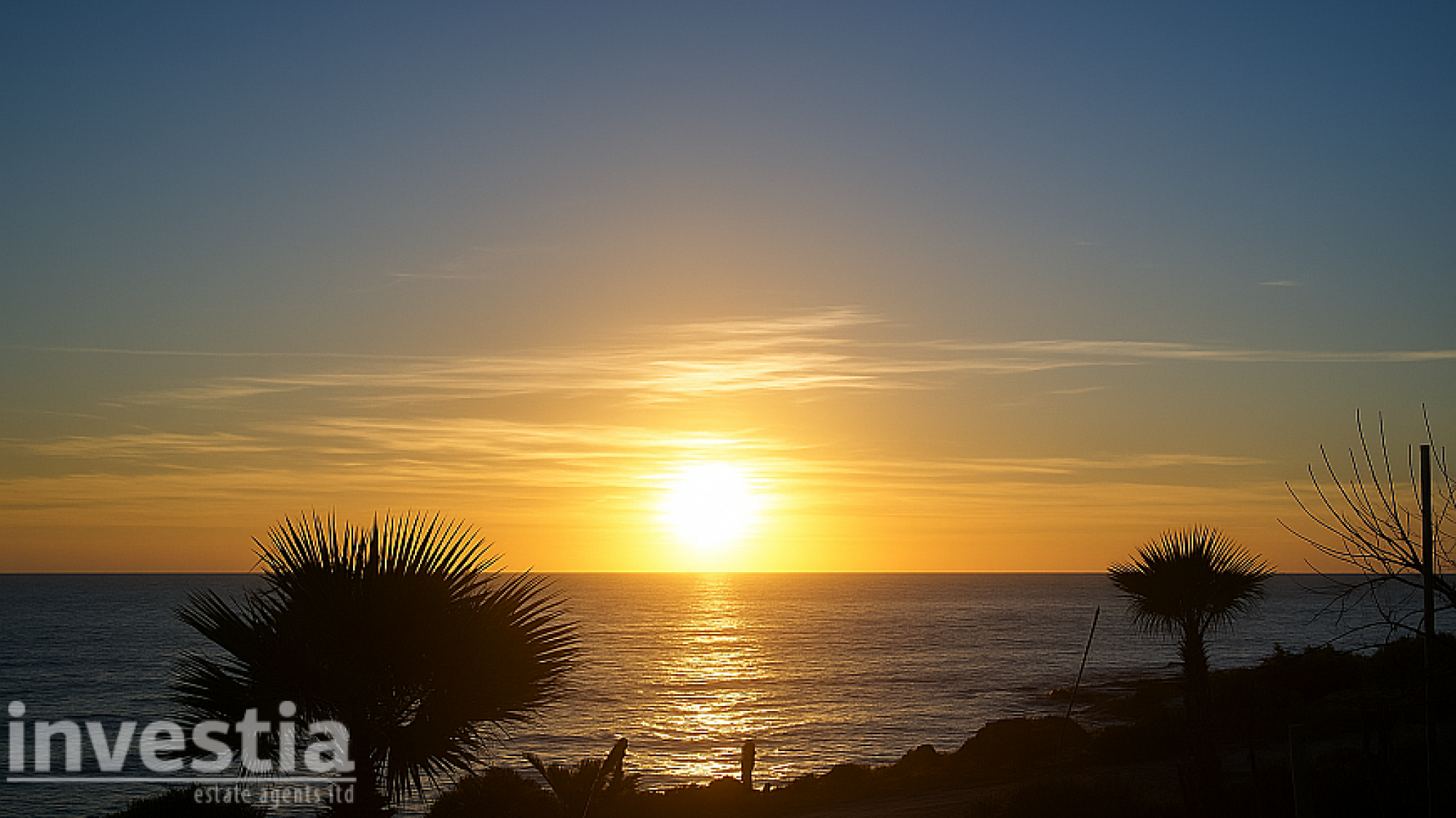 For Sale, House, Detached House, Paphos, Chlorakas, 567m² — image 4